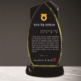 ũ����Ż ���� 300