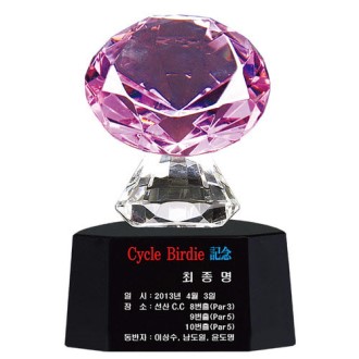 KC410 ������ǽ� �ְ��� ũ����Ż Ʈ���� 3