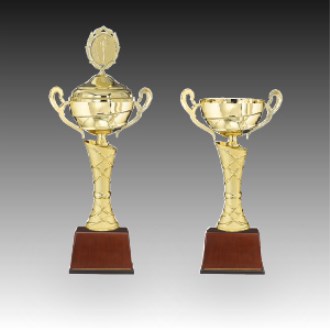 ��� ��ȸ �û� Ʈ���� ��彺Ʈ�� D �ֹ� ����