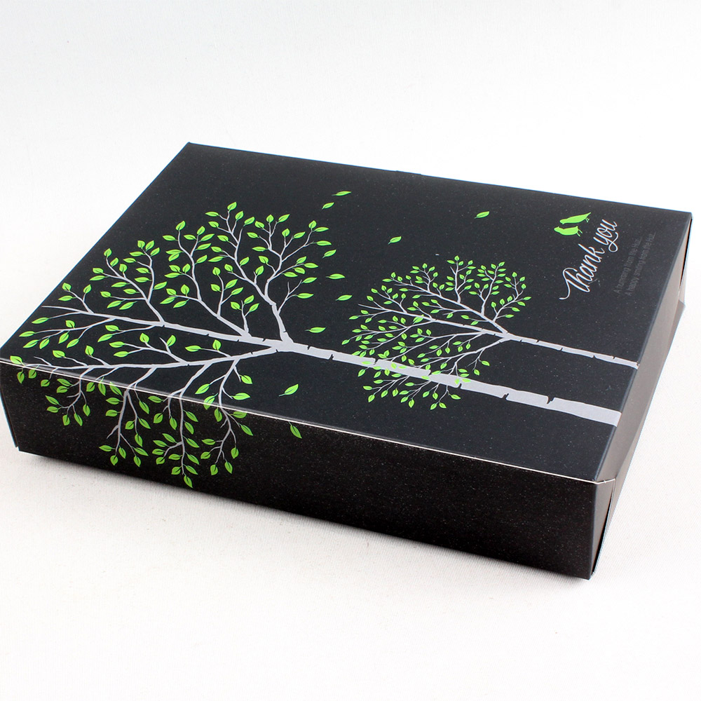 ���� ���̽� (��) 